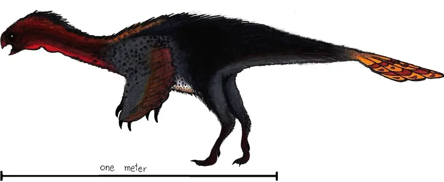 The Machairasaurus card