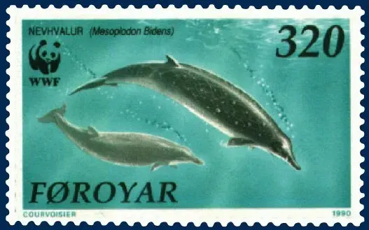 La carte Ziphiidae