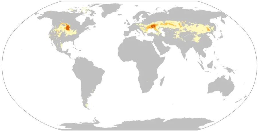 La carte Tchernoziom