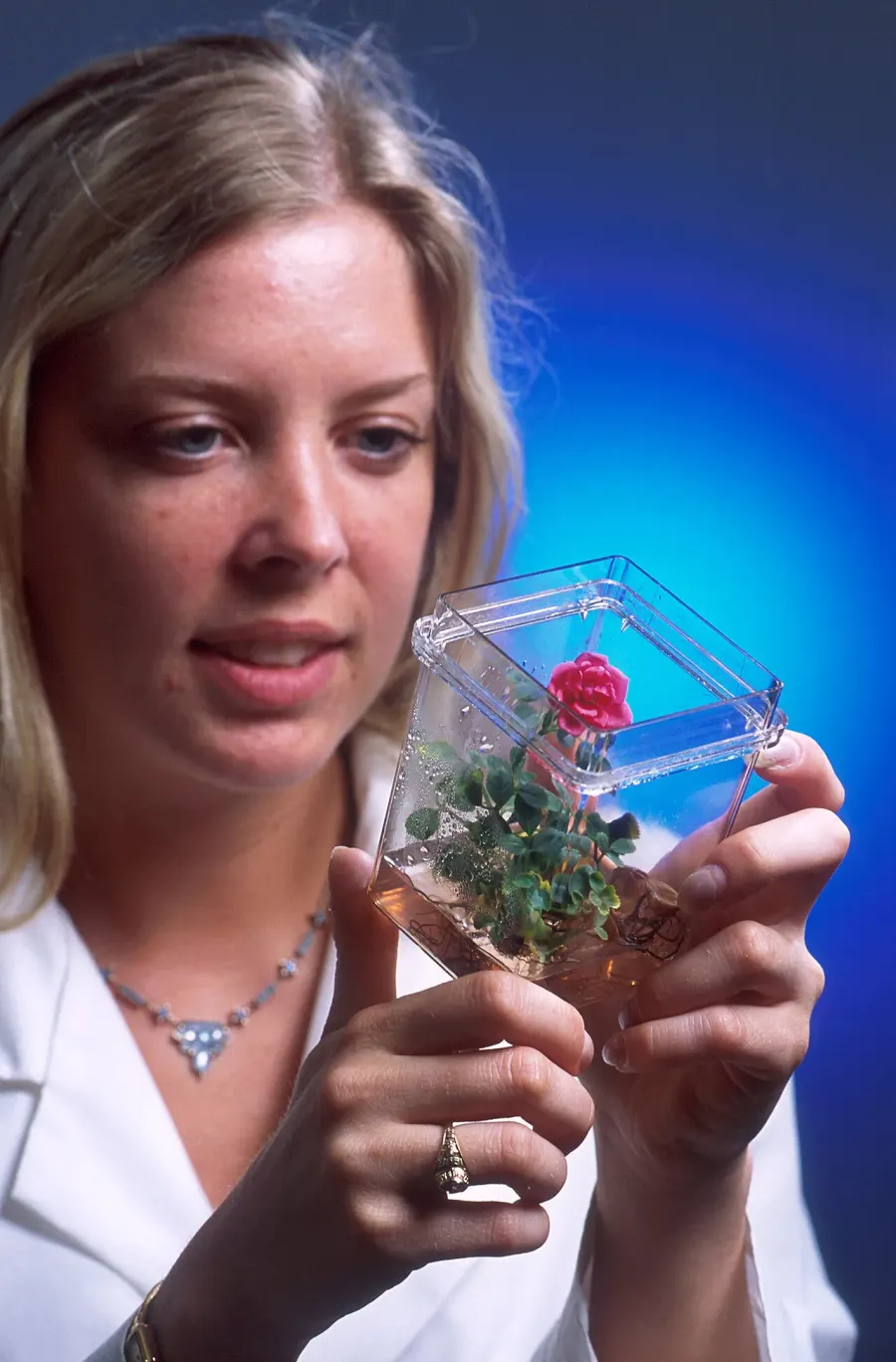 The Micropropagation card