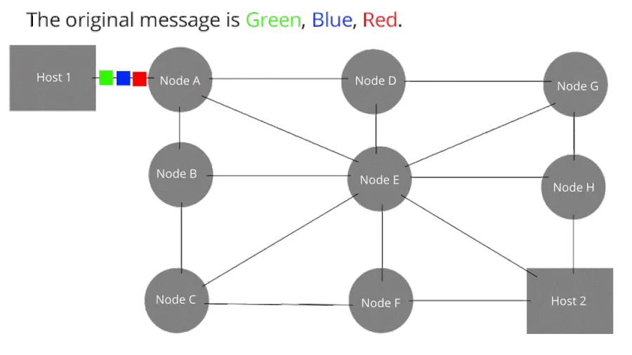 The Packet switching card