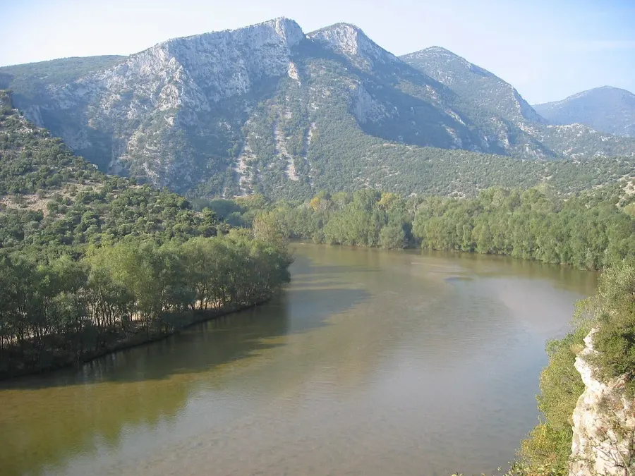 La carte Mesta