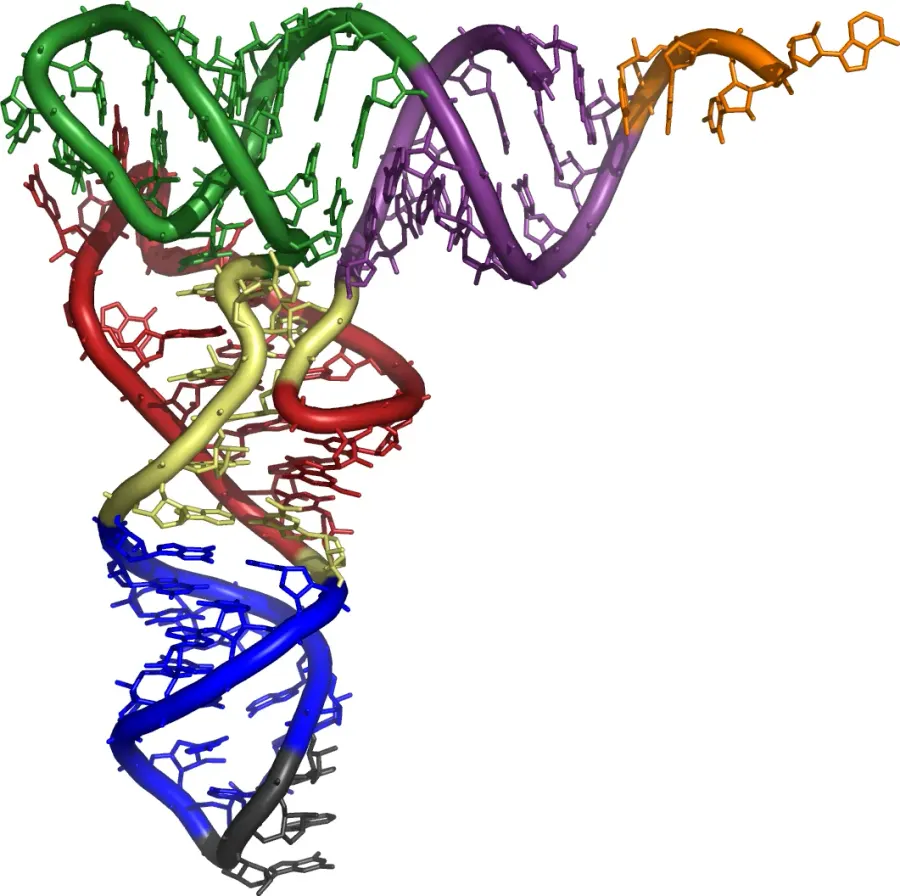 La carte Nanobiotechnologie