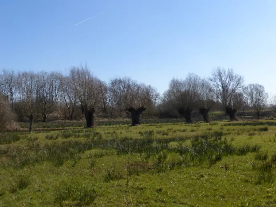 La carte Prairie