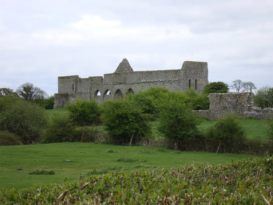 La carte Abbaye de Monasteranenagh