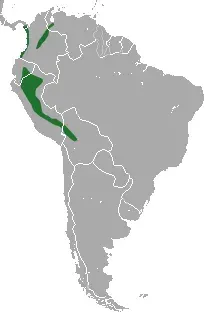 La carte Monodelphis adusta