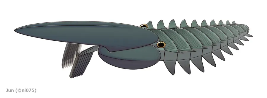 The Aegirocassis card