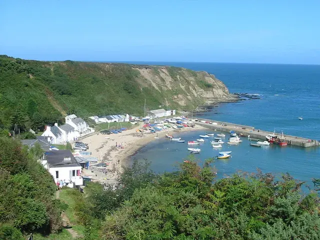 The Nefyn card