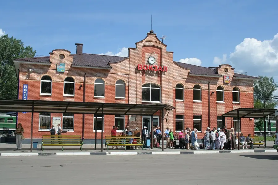 La carte Elektrogorsk