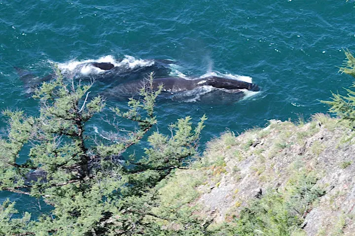 La carte Parc national des îles Chantar