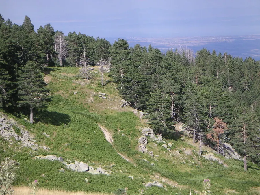 La carte Monts de Piérie