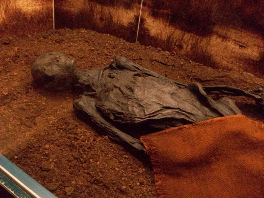 The Bog body card