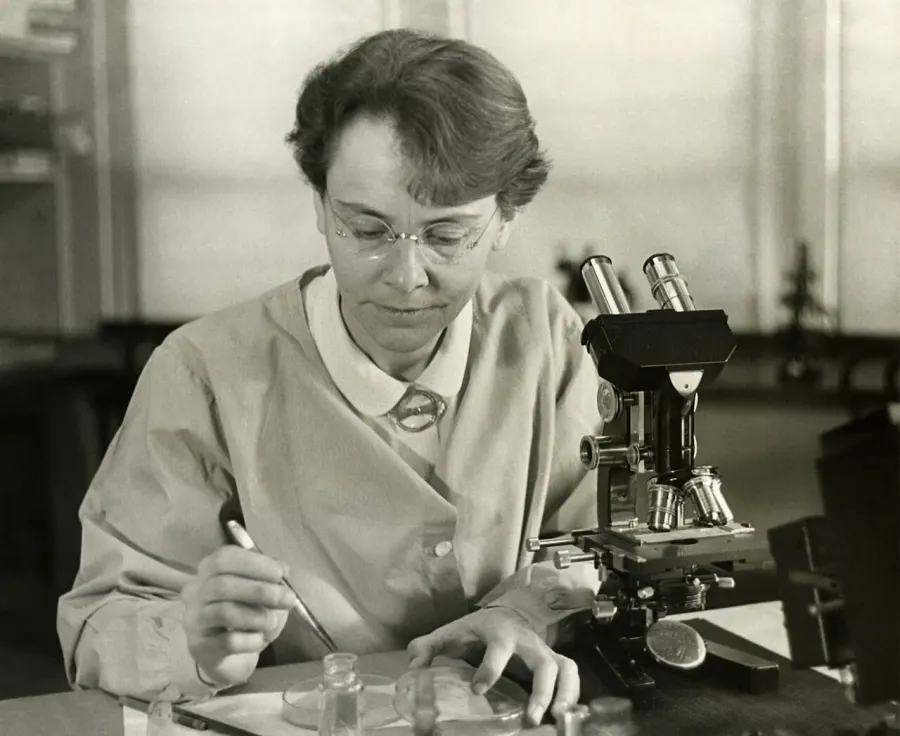 The Barbara McClintock card