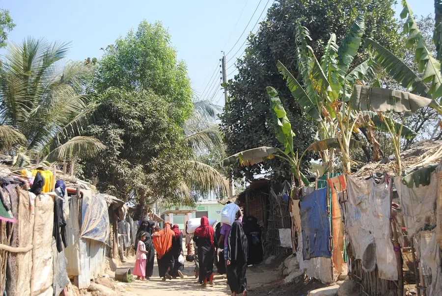 The 2015 Rohingya refugee crisis card