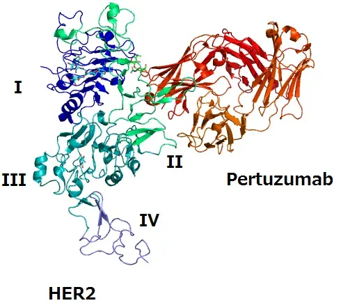 The Pertuzumab card