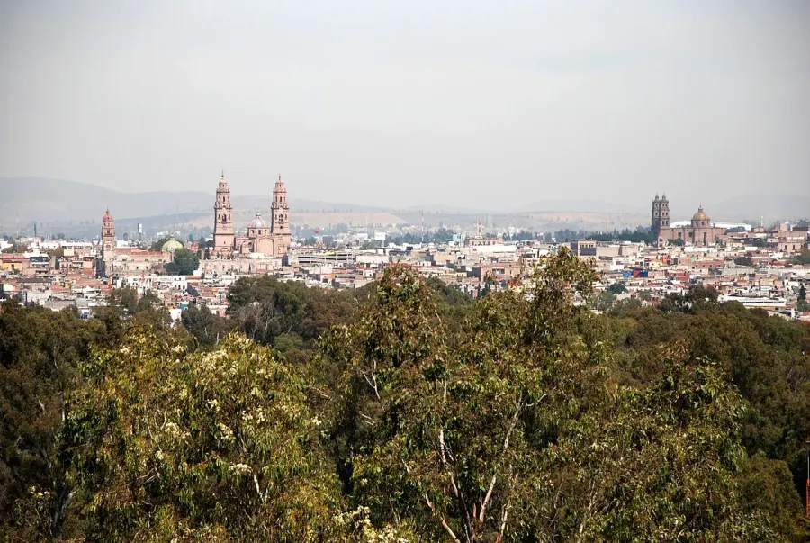 The Morelia card