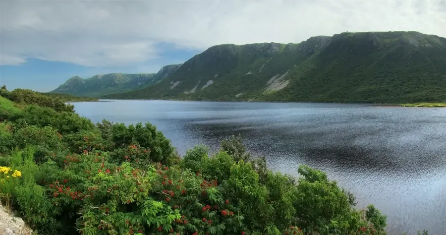 The Newfoundland and Labrador card