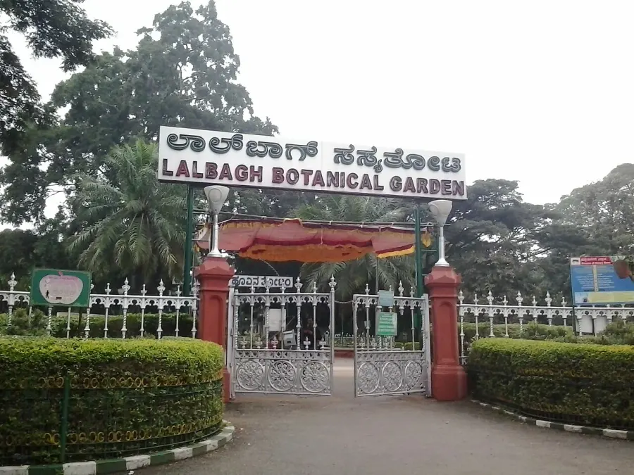 The Lal Bagh card