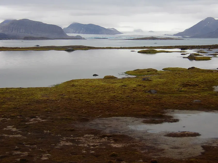 La carte Kongsfjorden