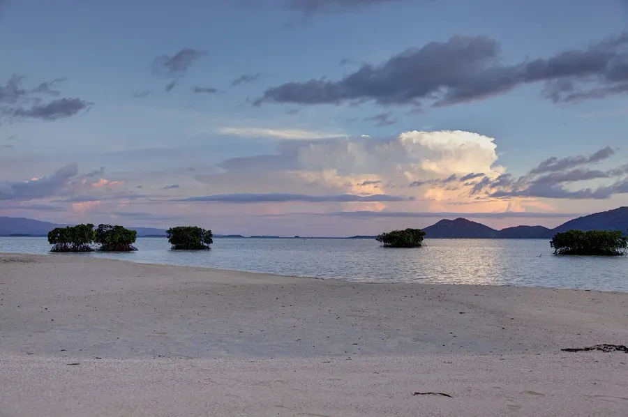 La carte Île Bougainville