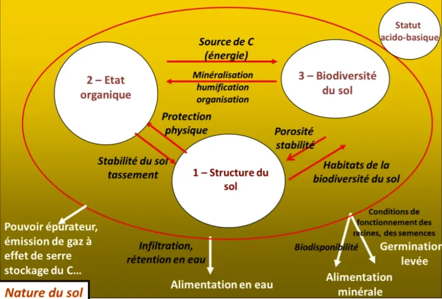 The Soil fertility card