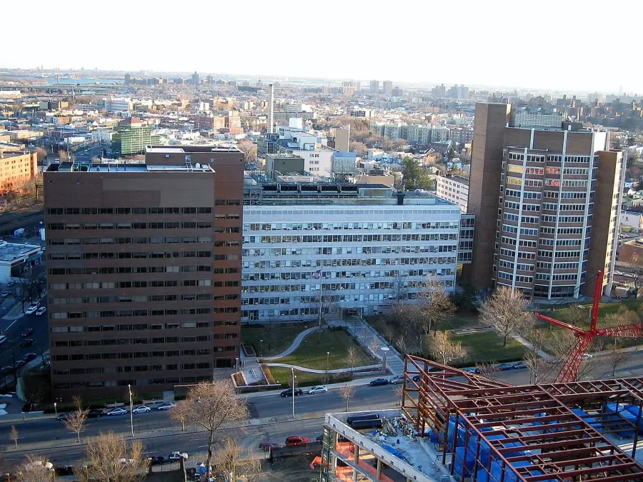 The Albert Einstein College of Medicine card
