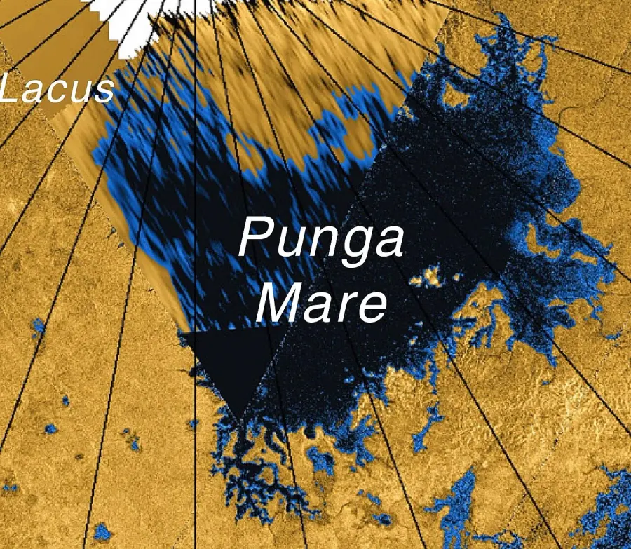 The Punga Mare card