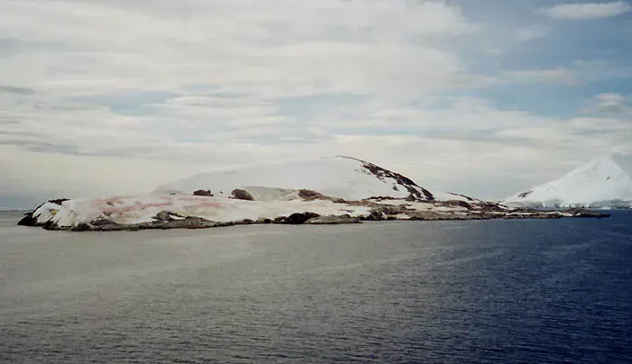 The Petermann Island card