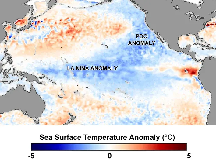 The Pacific decadal oscillation card