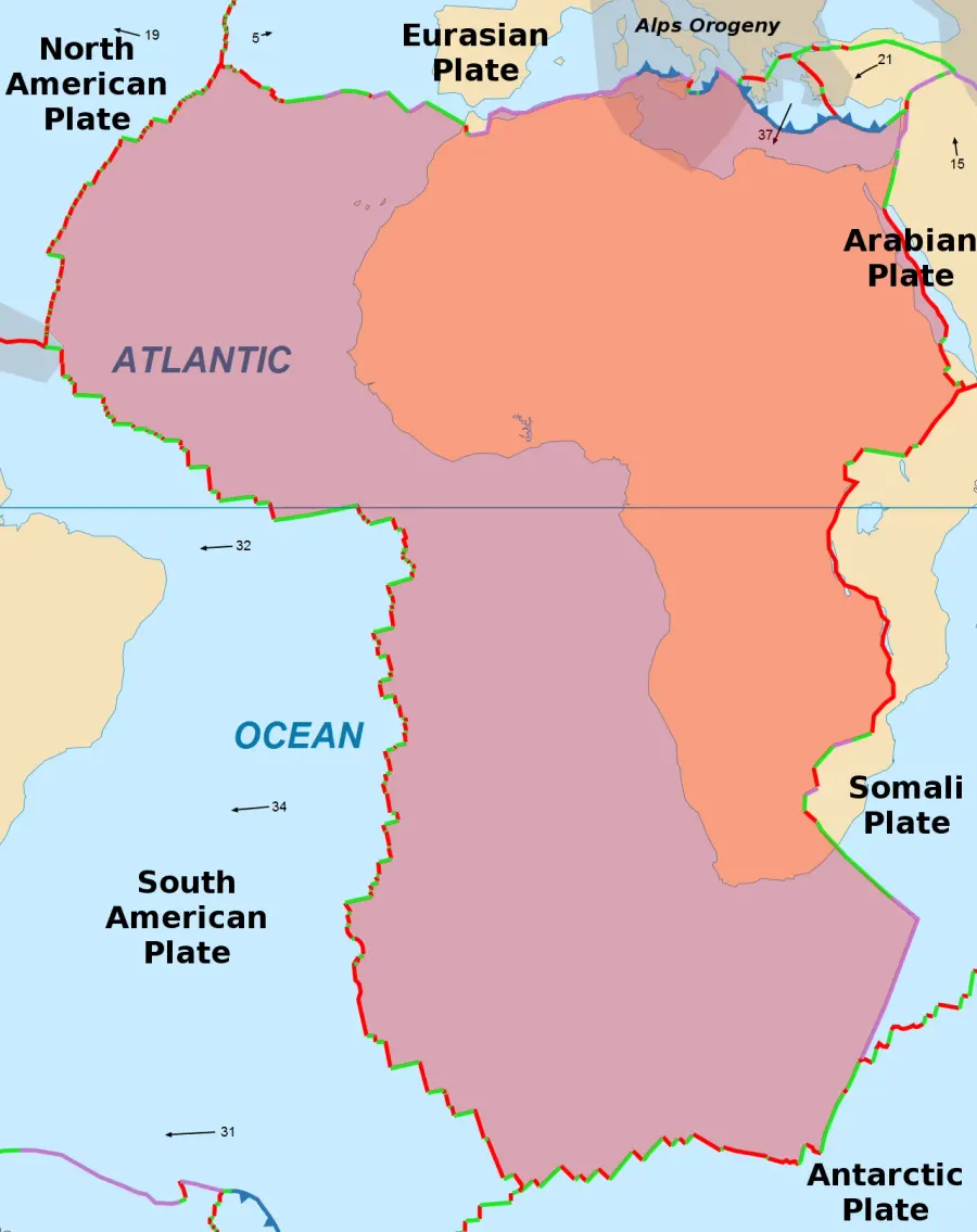 The African plate card