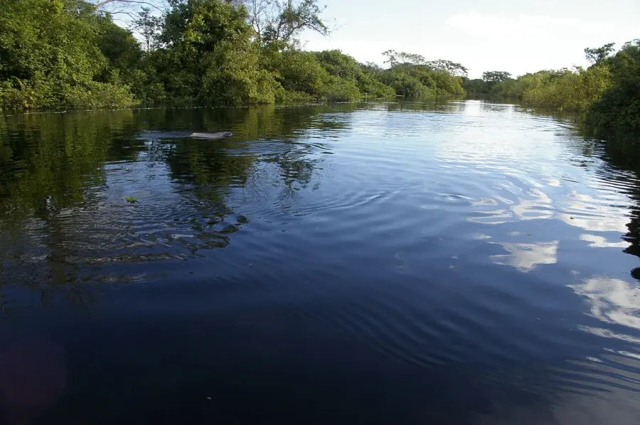 La carte Río Yacuma