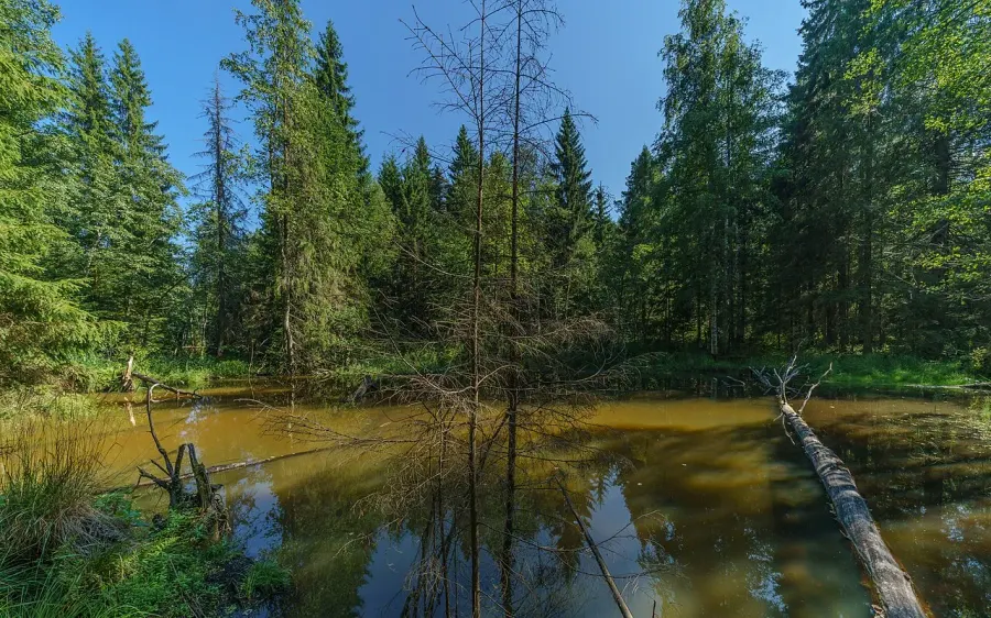 The Valdaysky National Park card