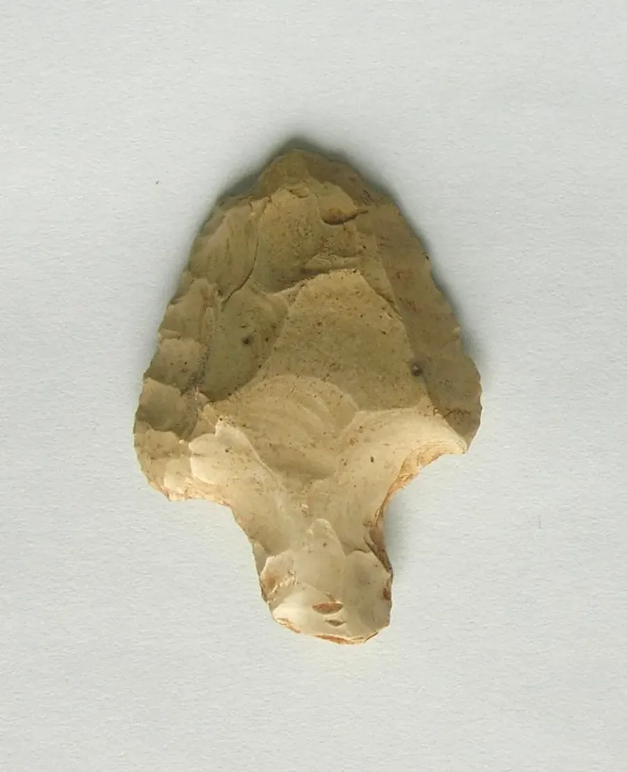 The Aterian card