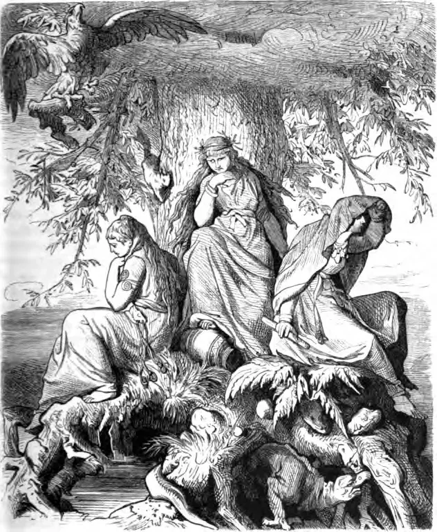 La carte Nornes