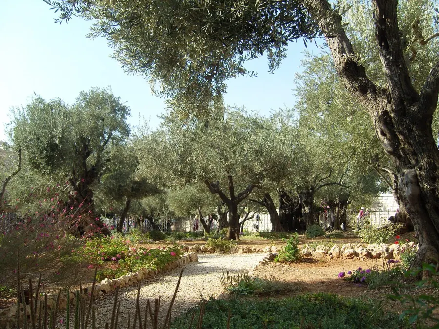 The Gethsemane card