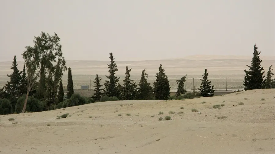 La carte Al-Soukhna