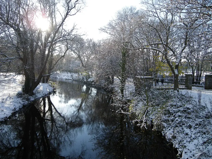 La carte Dodder