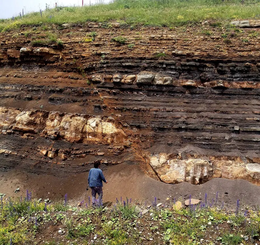 The Sedimentology card