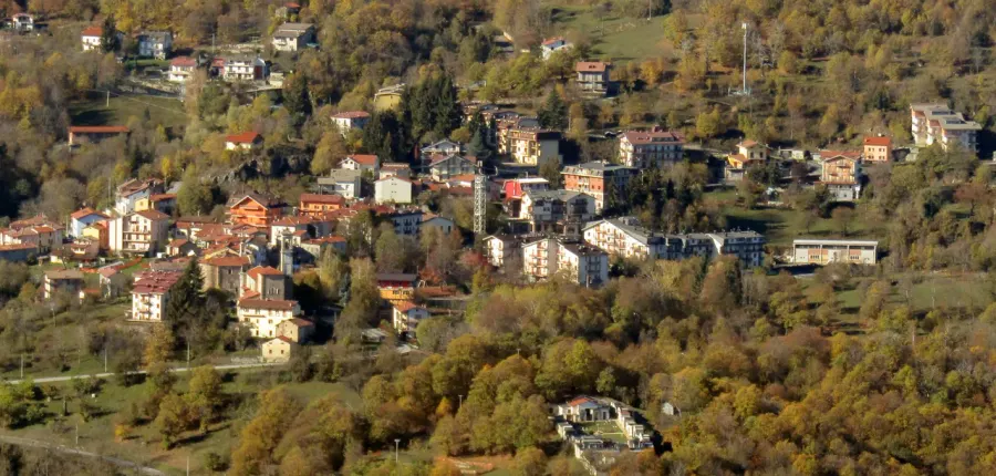 La carte Viola