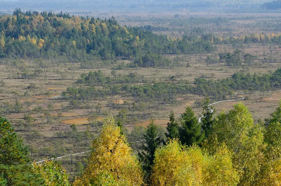 The Torronsuo National Park card