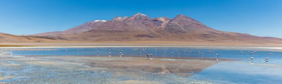 The Eduardo Avaroa Andean Fauna National Reserve card