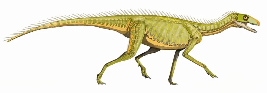 La carte Silesaurus