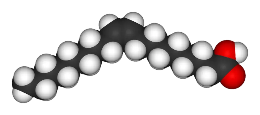 The Oleic acid card