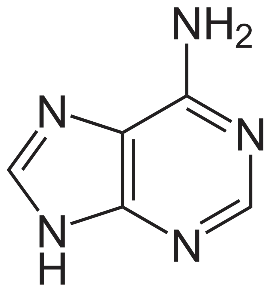 La carte Pyrimidine