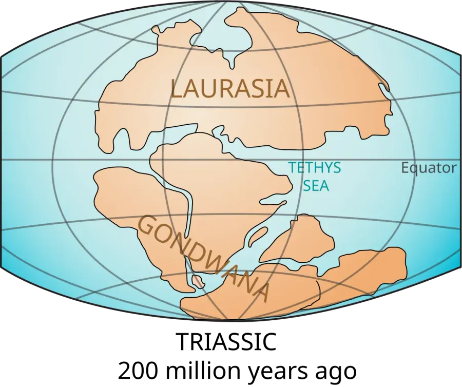 La carte Téthys