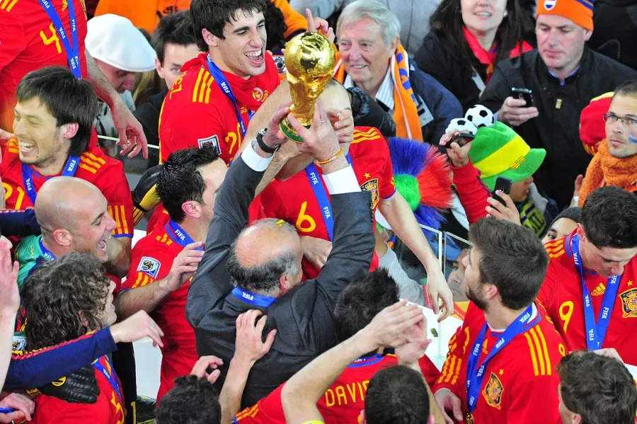 The 2010 FIFA World Cup final card