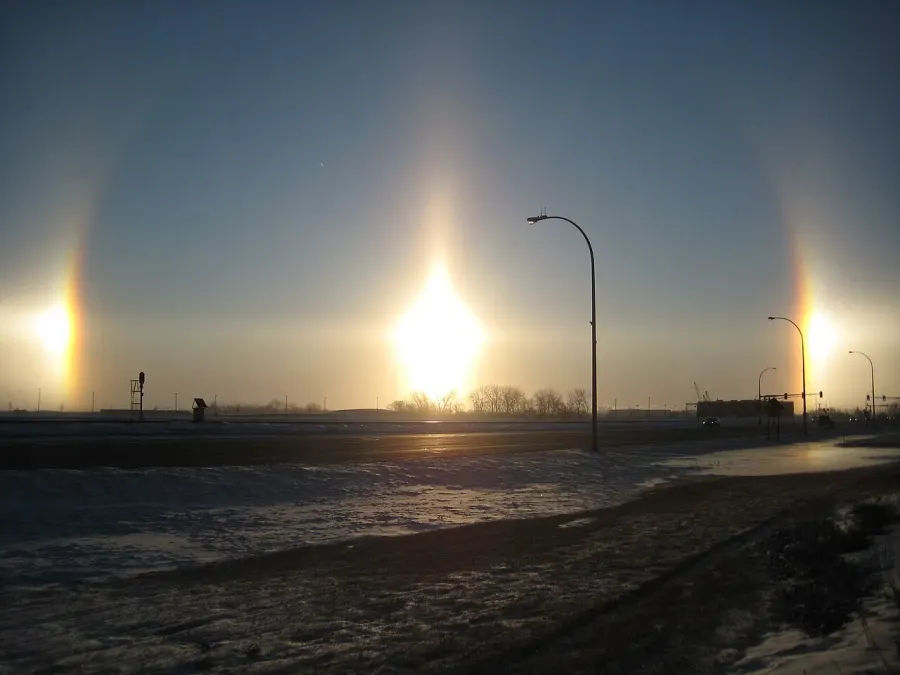 The Sun dog card