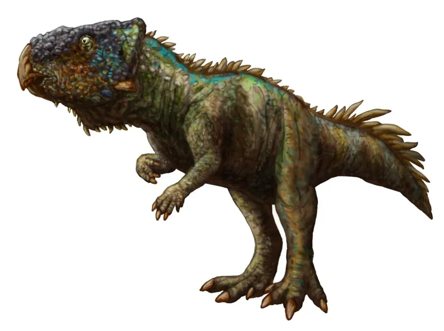 The Helioceratops card