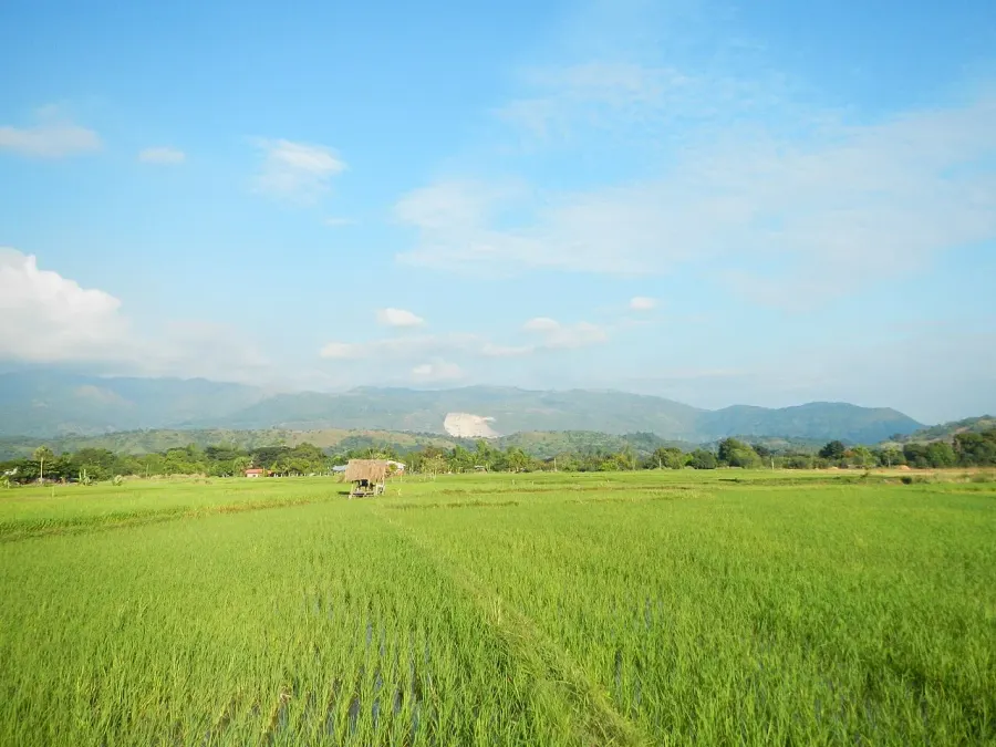 The Cordillera Central card