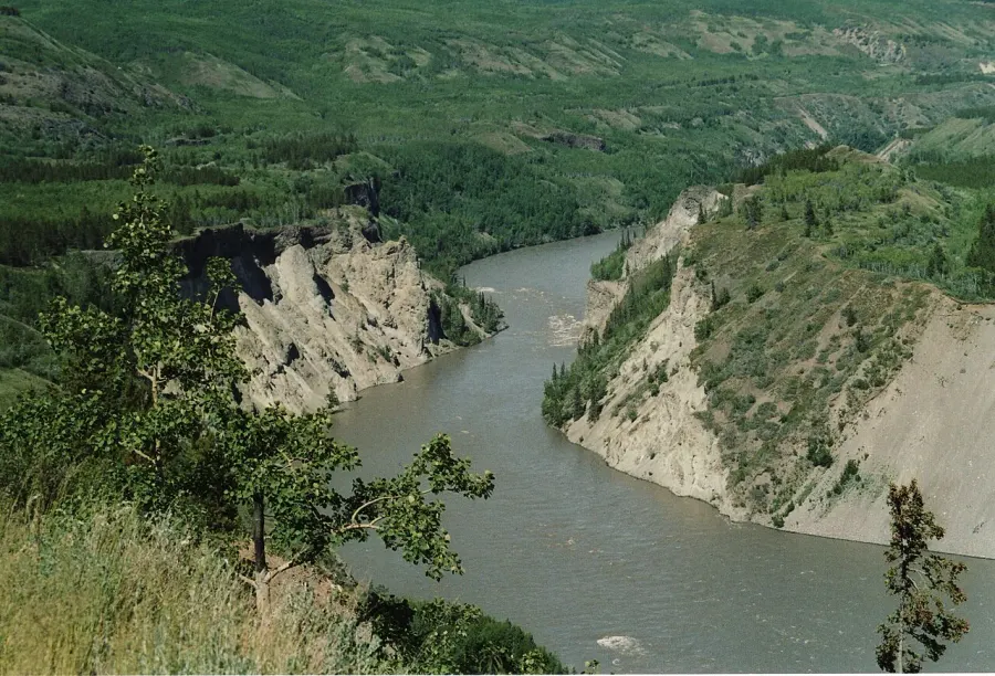 The Stikine River card